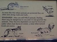 grand canyon nord (45).JPG